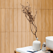 Romano Brick Tile Series gallery detail image