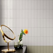 Carter Bianco Matt 150x50mm gallery detail image