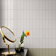 Carter Bianco Matt 150x50mm gallery detail image