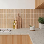 Skin Wall Tiles gallery detail image