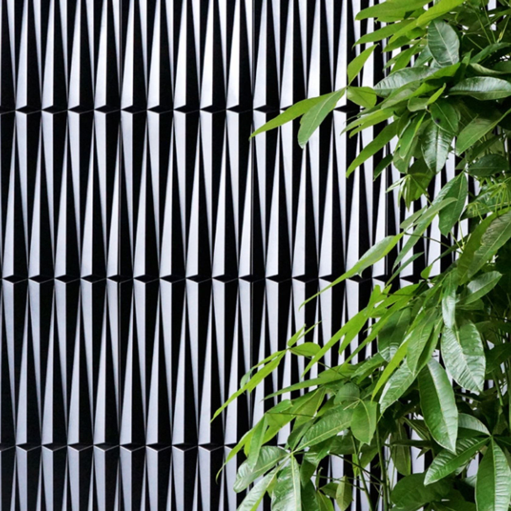 Soho gallery detail image