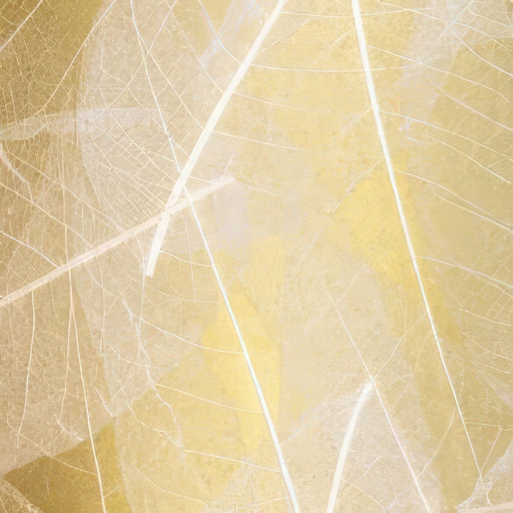 Organoid® Natural Surfaces gallery detail image