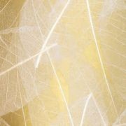 Organoid® Natural Surfaces gallery detail image