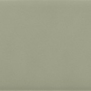 Costa Nova Tansy Green Matt gallery detail image
