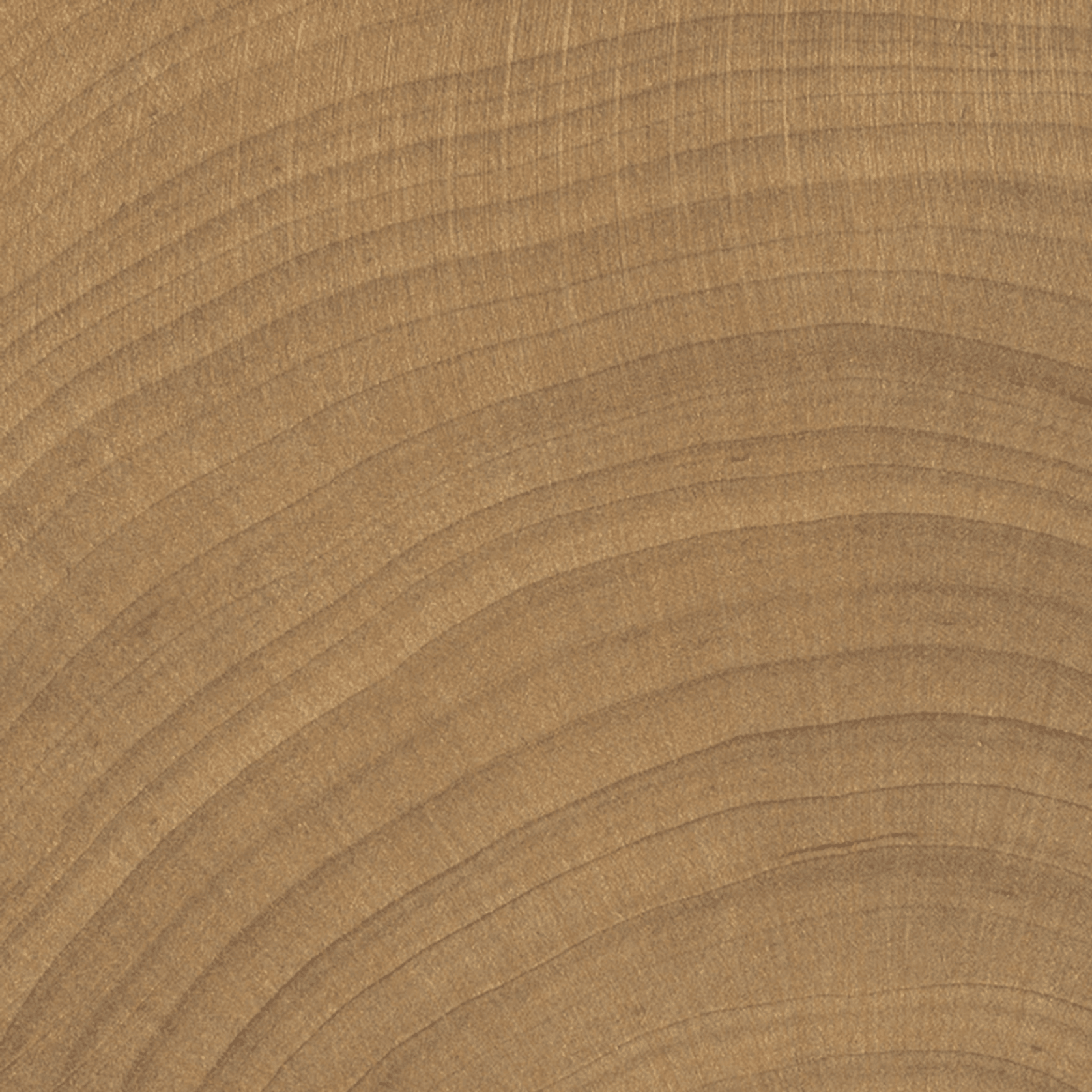 W-Circles Walnut tile gallery detail image