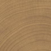 W-Circles Walnut tile gallery detail image