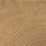 W-Circles Walnut tile gallery detail image