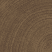 W-Circles Wenge tile gallery detail image