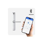 Sylvan Electronic Silver Leverset SL36E.S gallery detail image