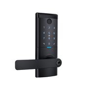 Schlage Ascent Series Smart Entrance Lever gallery detail image
