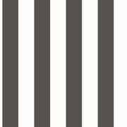 Top Stripes gallery detail image