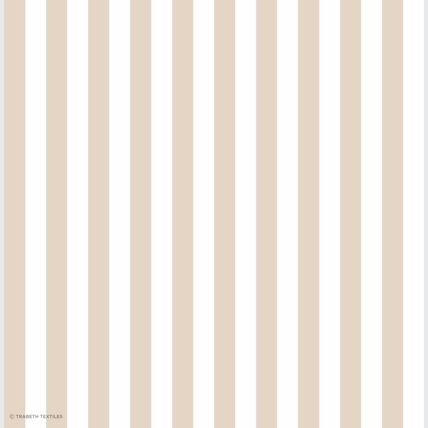 Top Stripes gallery detail image