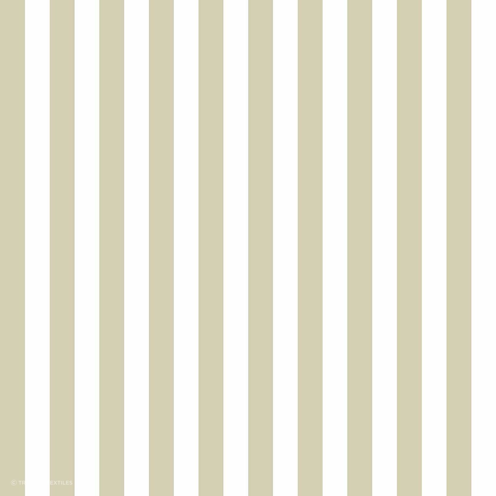 Top Stripes gallery detail image