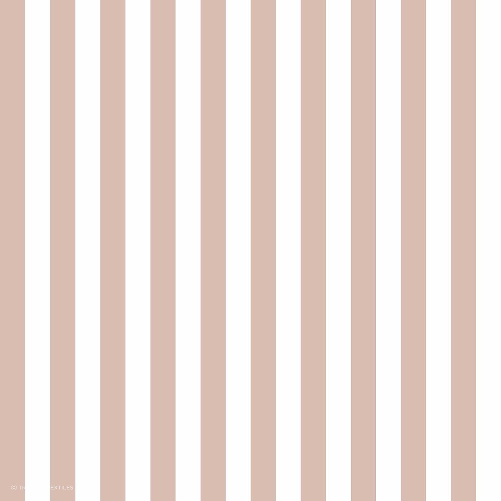 Top Stripes gallery detail image