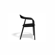 Arki Armchair - Black Ash gallery detail image
