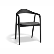 Arki Armchair - Black Ash with Pad gallery detail image