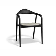 Arki Armchair - Black Ash with Pad gallery detail image