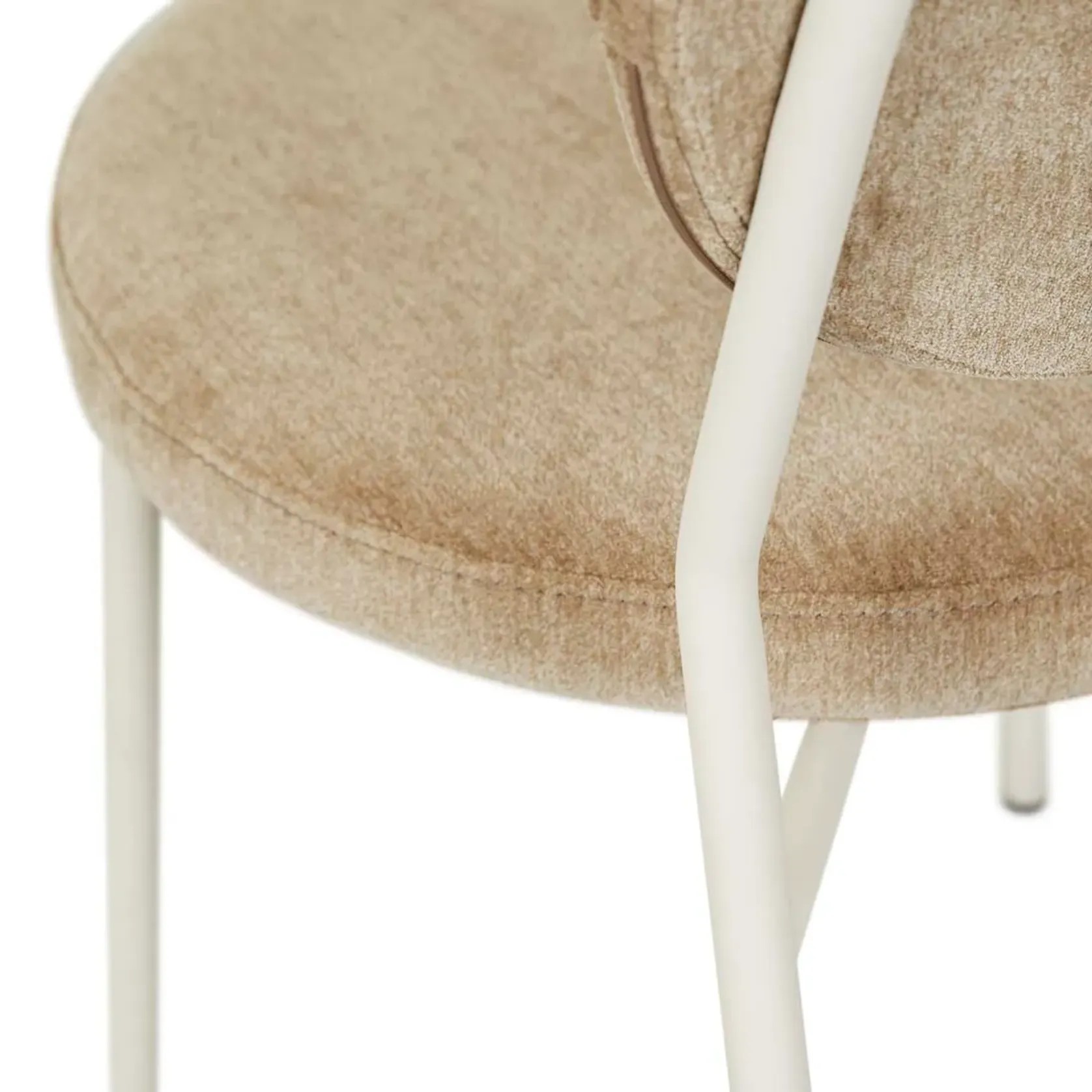 Laylah Loop Dining Chair gallery detail image