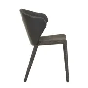 Theo Dining Chair gallery detail image