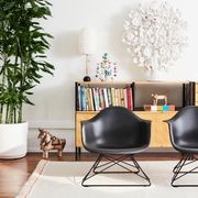 Eames® Dsr Chair by Herman Miller gallery detail image
