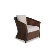 Amara Lounge Chair gallery detail image