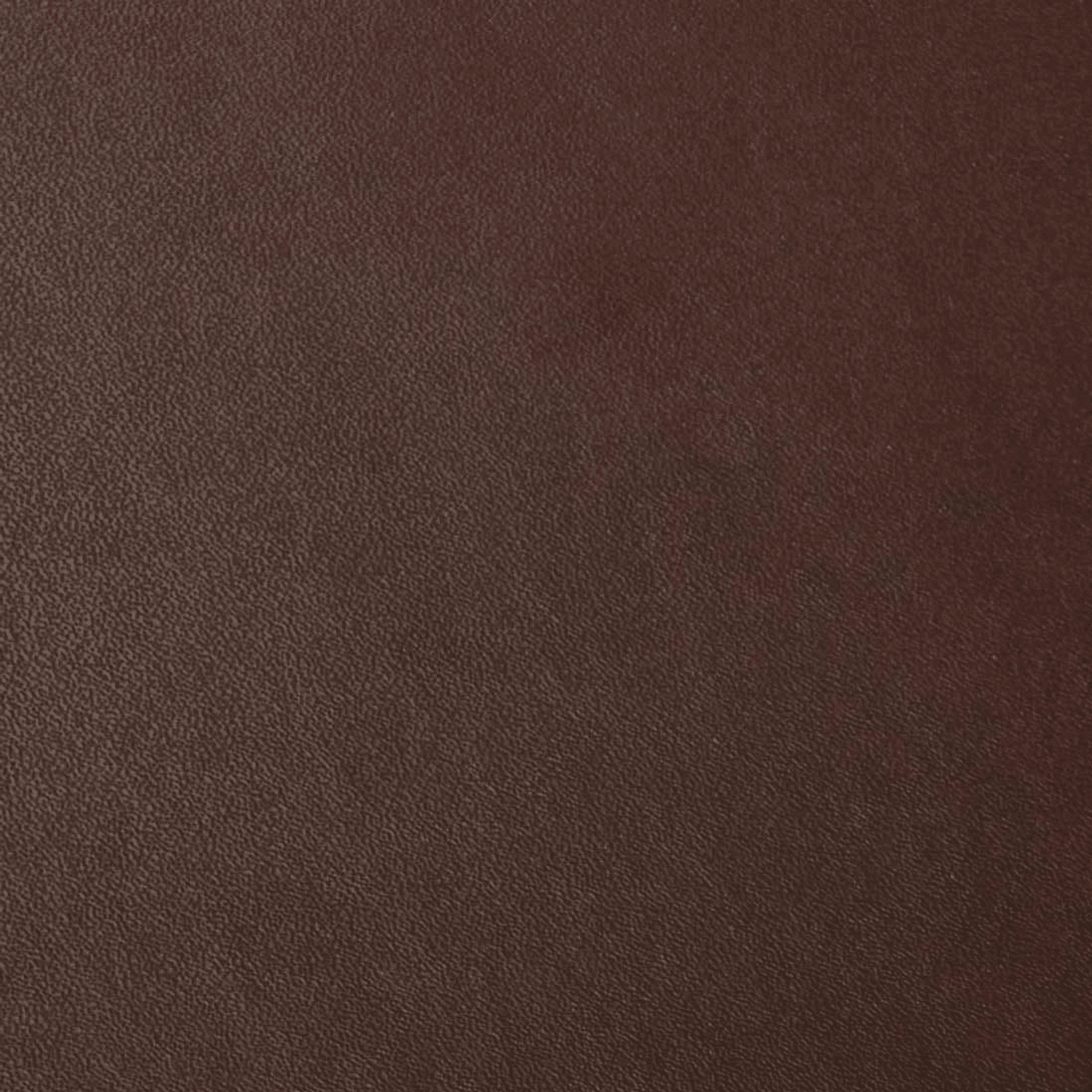 Matilda Dining Chair gallery detail image