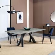 Ballet Oval Dining Table with Extensions gallery detail image