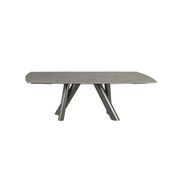 Ballet Oval Dining Table with Extensions gallery detail image