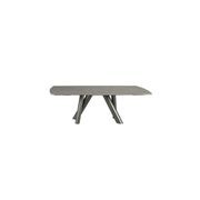 Ballet Oval Dining Table with Extensions gallery detail image