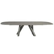Ballet Oval Dining Table with Extensions gallery detail image