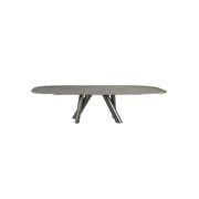 Ballet Oval Dining Table with Extensions gallery detail image