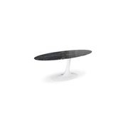 Speed Up Oval Dining Table gallery detail image