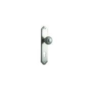 Iver Guildford Door Knob on Shouldered Backplate Satin Nickel - Customise to your needs gallery detail image