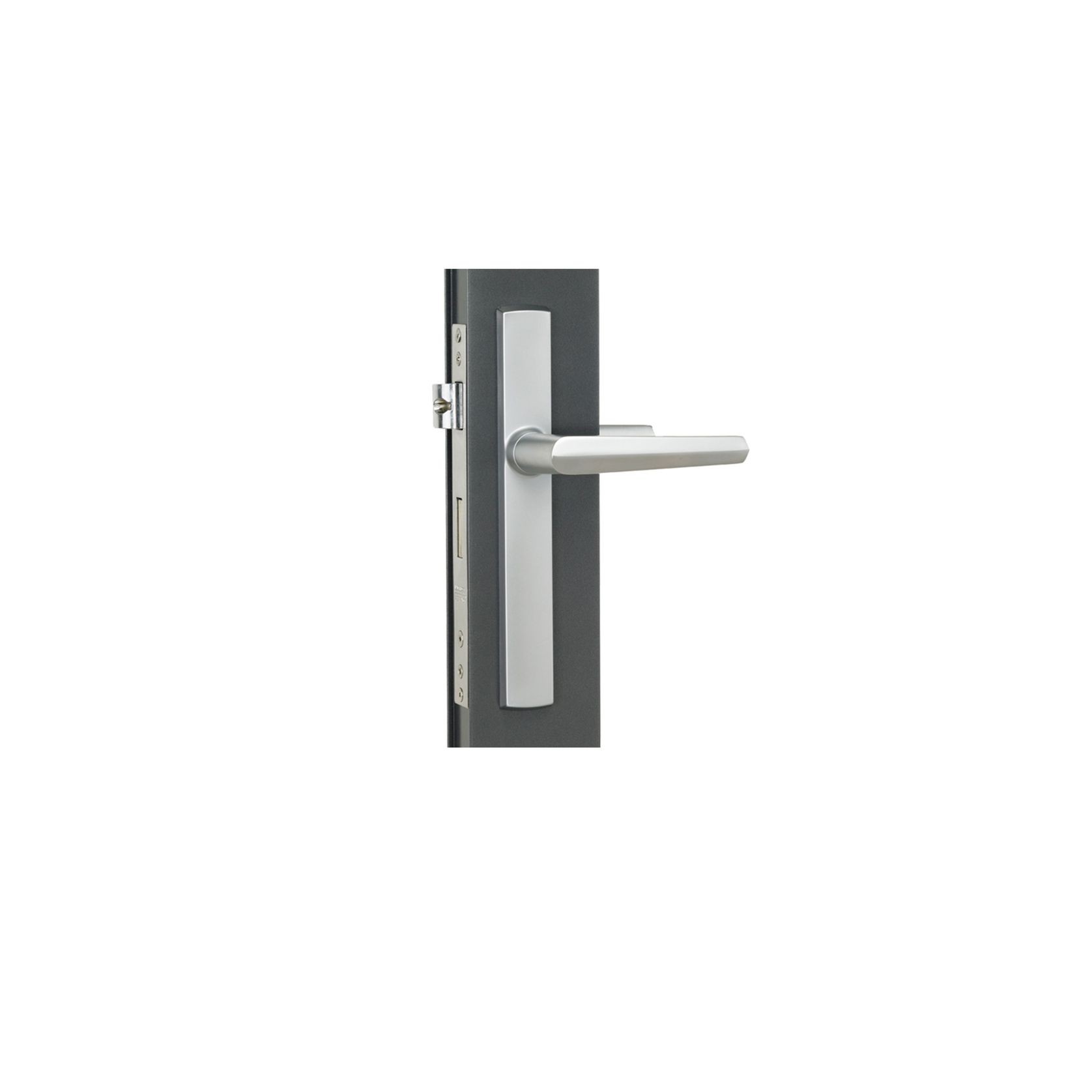 Aria Hinged Door Handle gallery detail image