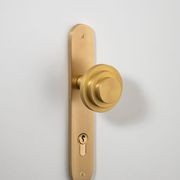 Zzzigurat Knob - Oval Backplate gallery detail image