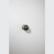 H02 Knob on Rose gallery detail image