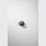 H02 Knob on Rose gallery detail image