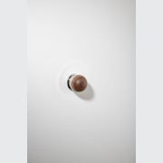 H02 Knob on Rose gallery detail image