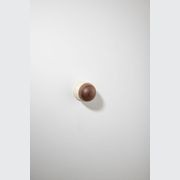 H02 Knob on Rose gallery detail image