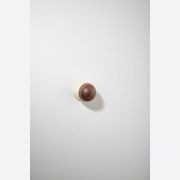 H02 Knob on Rose gallery detail image