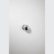 H02 Knob on Rose gallery detail image