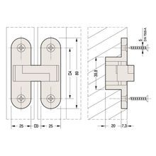 Bellevue Ceam Invisible Concealed Door Hinge 60kg gallery detail image