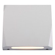 Nocturnal Nighthawk Wall Light gallery detail image