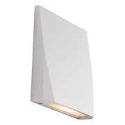 Nocturnal Nighthawk Wall Light gallery detail image
