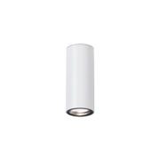 Firefly Can Surface Downlight gallery detail image