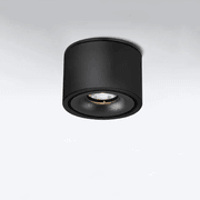 black gimbal downlight