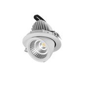 25W Snorkel Swivel Downlight gallery detail image