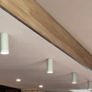 Dusked Eos Ceiling Light gallery detail image