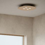 Equal 4-Round Ceiling Light gallery detail image
