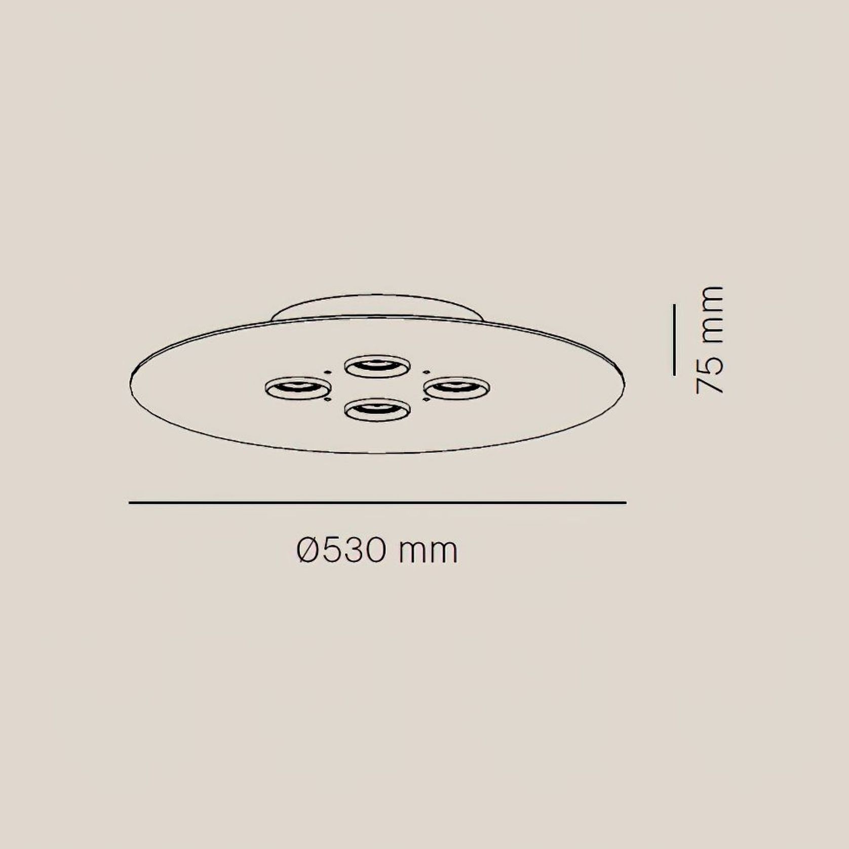 Equal 4-Round Ceiling Light gallery detail image